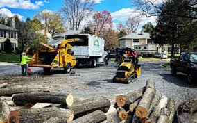 Best Fruit Tree Pruning  in Limestone Creek, FL