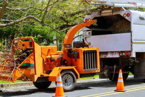 Best Tree Mulching  in Limestone Creek, FL