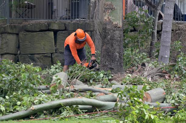 Best Tree Risk Assessment  in Limestone Creek, FL